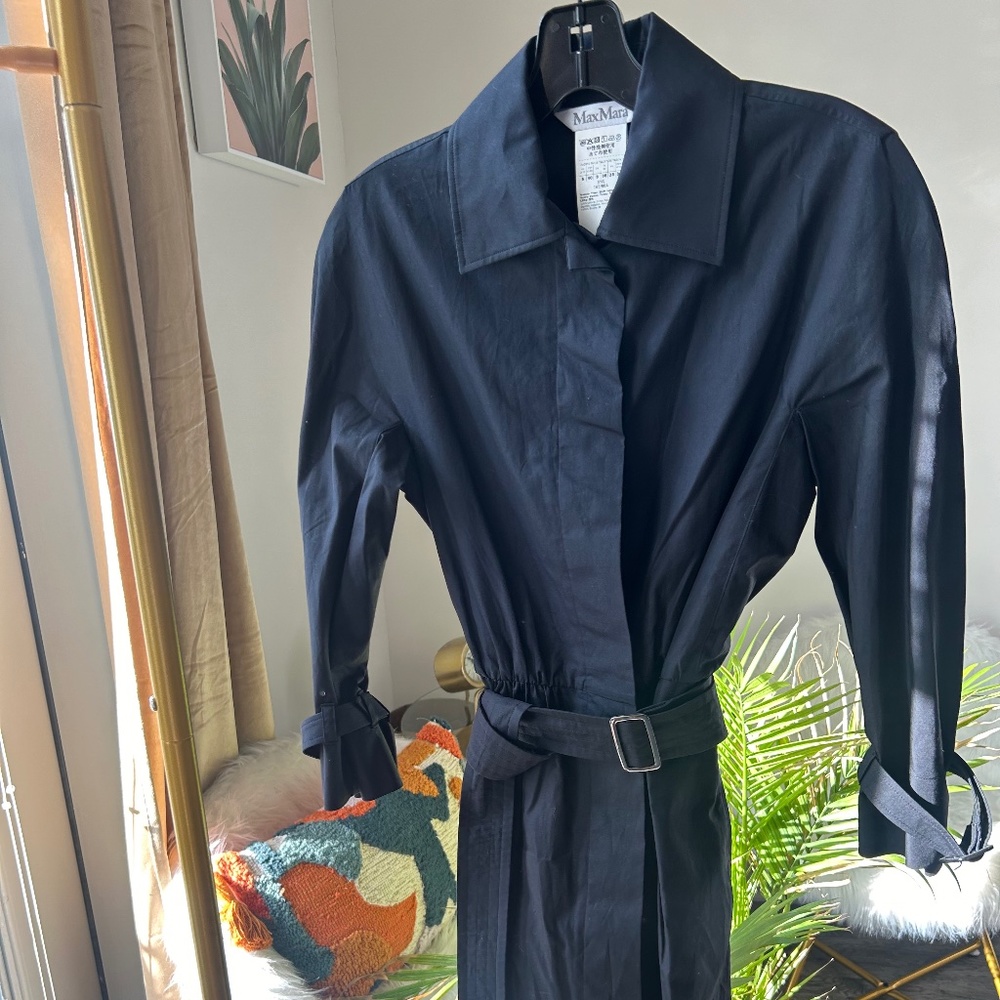Max Mara belted dress